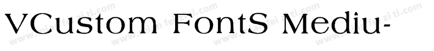 VCustom FontS Mediu字体转换
